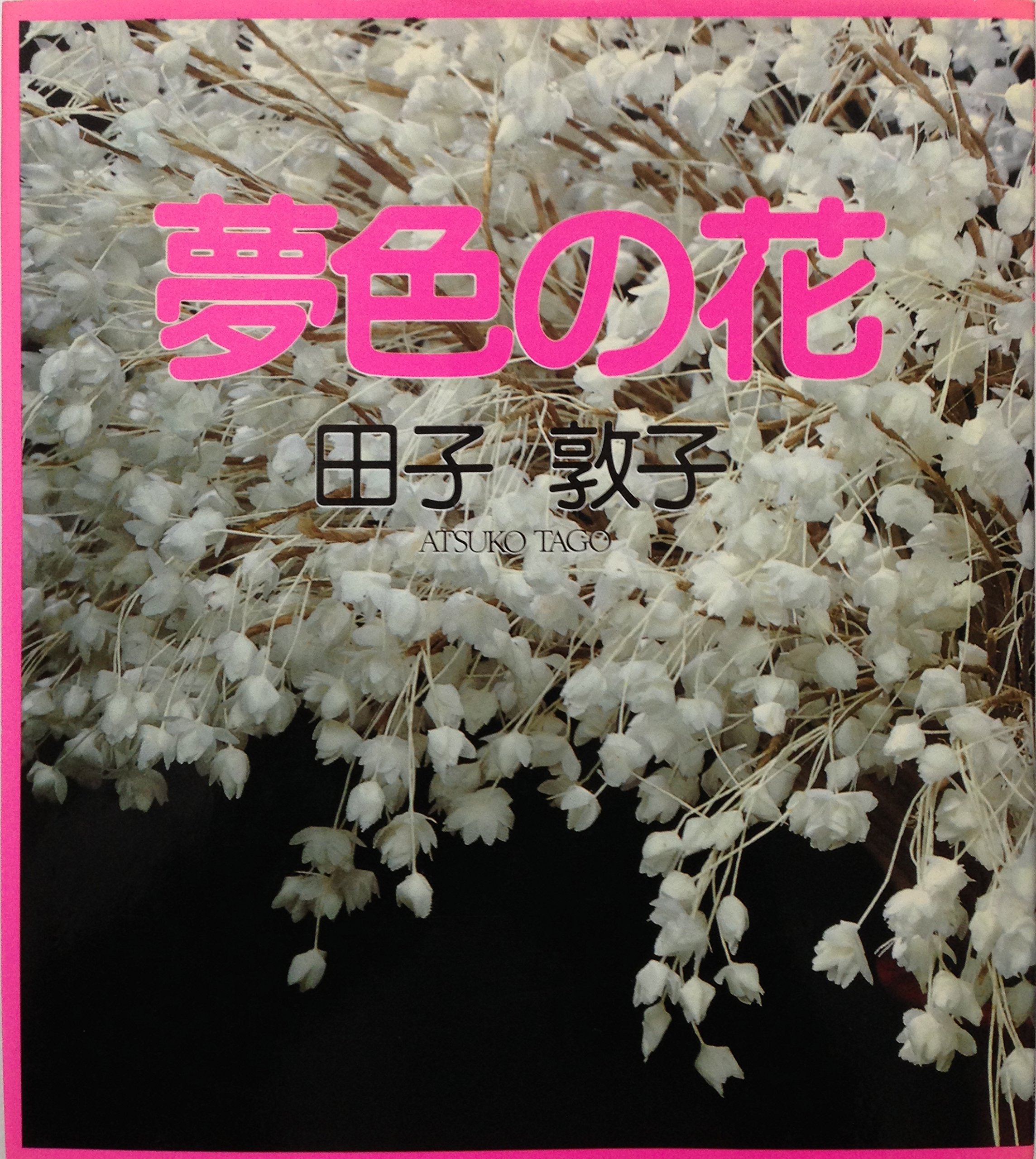 Amazon.co.jp: 田子 敦子: 本、バイオグラフィー、最新アップデート